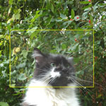jQuery Resize and Crop (jrac)